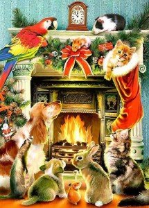 Merry Christmas To All The Animals | Animals Zone