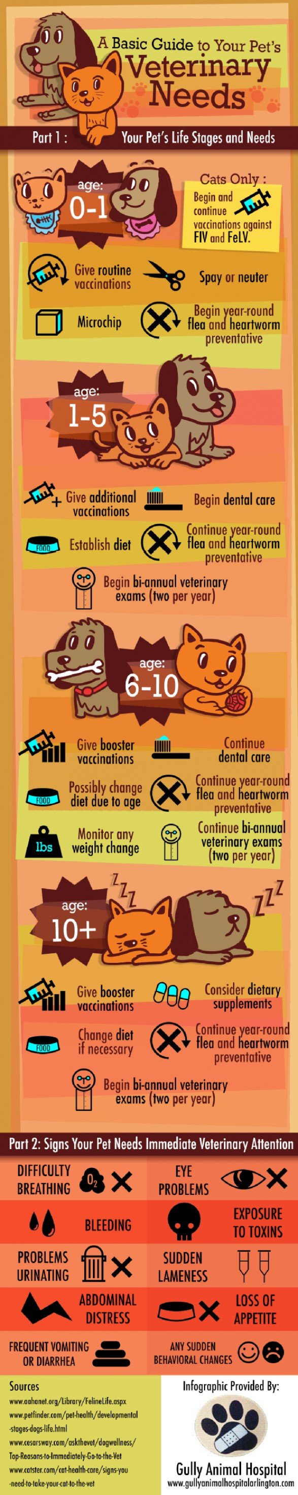 A Basic Guide to Your Pet